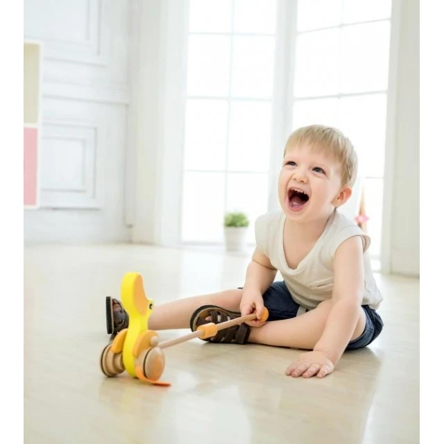 Push wooden duck