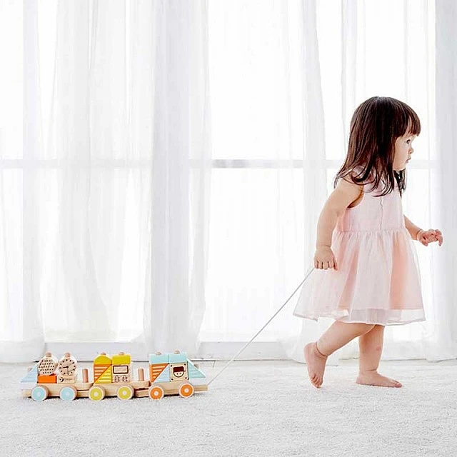 Children’s wooden pull toy - Train