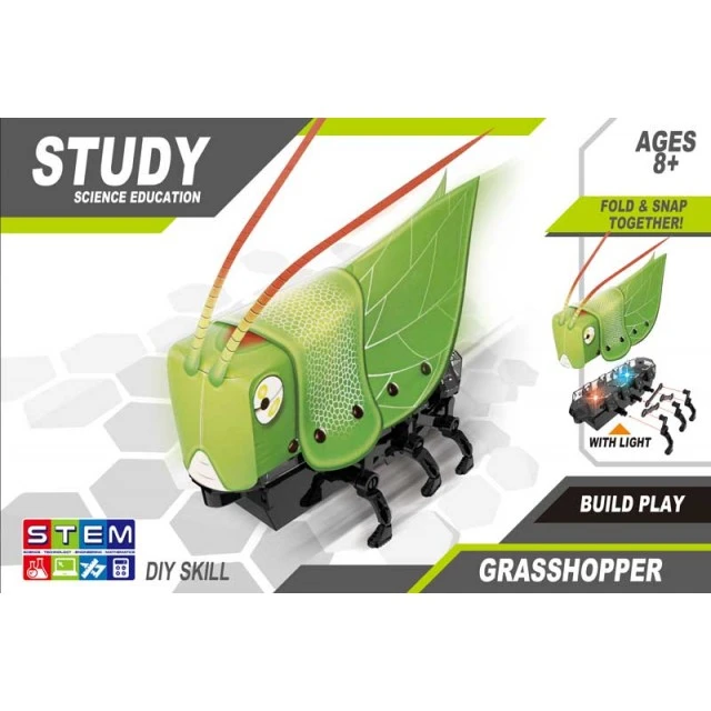 Kids STEM Robot - Build your own cricket