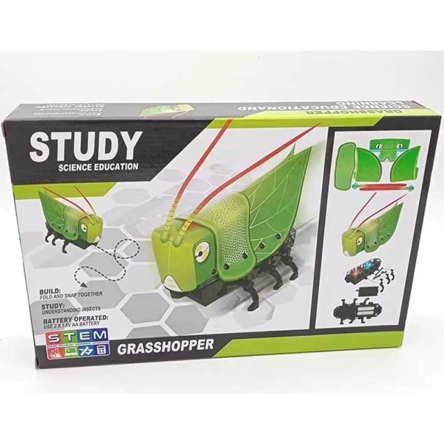 Kids STEM Robot - Build your own cricket