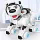 Interactive police dog - robot with blue helmet