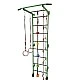 Swedish wall for children's gymnastics, metal, with accessories, green