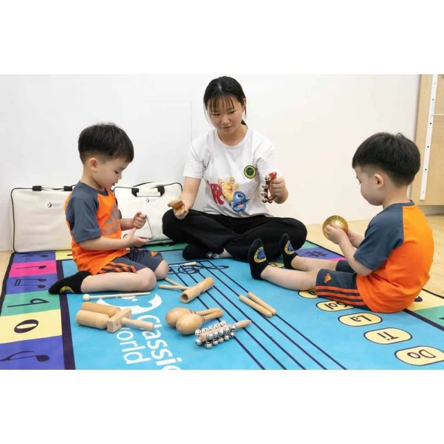 A set of children’s musical instruments for learning
