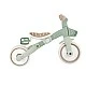 Триколка с родителски контрол 3 в 1 GLOBBER LEARNING TRIKE PLUS, мента