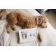 Pearhead Print frame Pet and Baby - Best friends forever