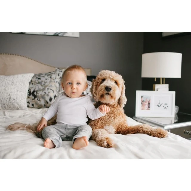 Pearhead Photo frame and ink prints for child and pet - Best friends forever