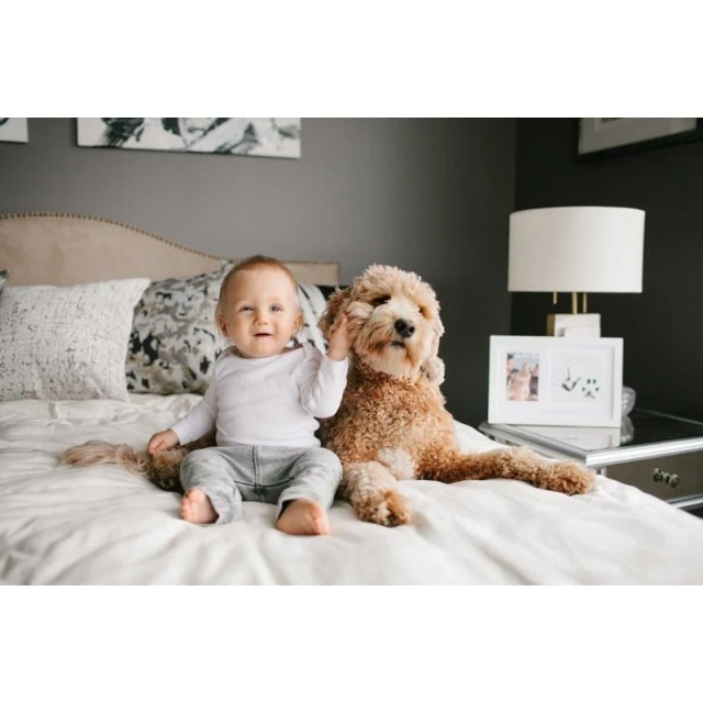 Pearhead Photo frame and ink prints for child and pet - Best friends forever
