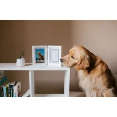Pearhead Рамка за бюро за снимка и глинен отпечатък на домашен любимец - White
