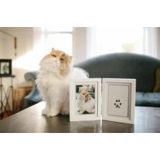 Pearhead Рамка за бюро за снимка и мастилен отпечатък на домашен любимец - White