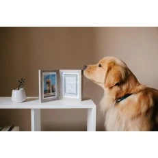 Pearhead Рамка за бюро за снимка и глинен отпечатък на домашен любимец - Distressed Grey