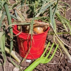 Metal bucket - Red