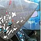 Phil & Teds Stroller Sport V5 for one or born children, graffiti