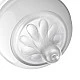 Биберони Natural Response SCY964/02 Поток 4, 3м+