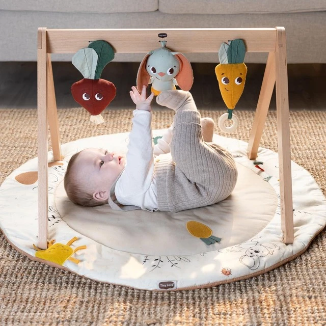 Tiny Love Luxe Gymini activity gym from the Eco series Garden