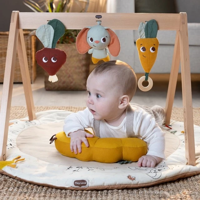 Tiny Love Luxe Gymini activity gym from the Eco series Garden