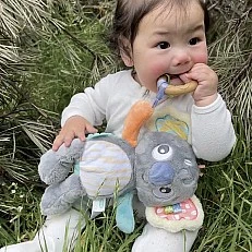 Плюшена Коала за гушкане Playgro Fauna Friends, с мека  гризалка, 0м+