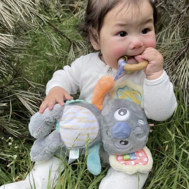 Плюшена Коала за гушкане Playgro Fauna Friends, с мека  гризалка, 0м+