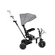 Tricycle 5in1 Aluma Grey
