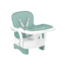 Chewy Mint high chair
