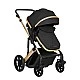 Combined stroller 3 in 1 with transfer seat Darling Black 2024