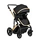 Combined stroller 3 in 1 with transfer seat Darling Black 2024
