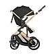 Combined stroller 3 in 1 with transfer seat Darling Black 2024