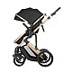 Combined stroller 3 in 1 with transfer seat Darling Black 2024