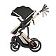 Combined stroller 3 in 1 with transfer seat Darling Black 2024