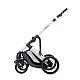 Combined stroller 3 in 1 with transfer seat Darling Dark Gray 2024