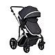 Combined stroller 3 in 1 with transfer seat Darling Dark Gray 2024