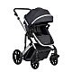 Combined stroller 3 in 1 with transfer seat Darling Dark Gray 2024
