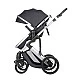 Combined stroller 3 in 1 with transfer seat Darling Dark Gray 2024