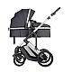 Combined stroller 3 in 1 with transfer seat Darling Dark Gray 2024