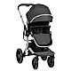 Комбинирана количка 3в1 с твърд кош Irene Dark Grey 2024