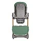 Olive Mint dining chair