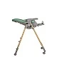 Olive Mint dining chair
