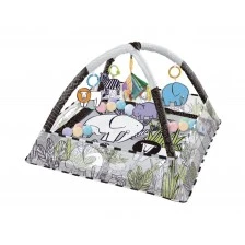 Active gymnastics with 18 Jungle balls