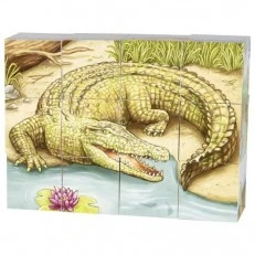 Australian animal cubes