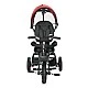 Tricycle zippy v.y. Ruby