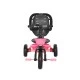 Tricycle revel pink grunge