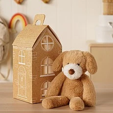 Widdop Softies Plush toy light brown puppy in a box 35cm - Bob