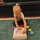 The wooden mosaic of colored beads