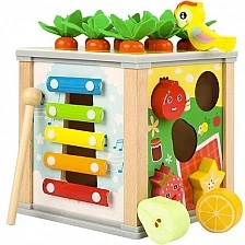 Wooden educational sorting cube - Kruzzel