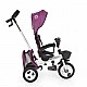 Tricycle Flexy Lux purple