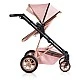 Combined stroller 2 in 1 Midas pink