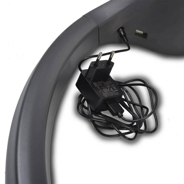 Electric swing iSwing dark gray