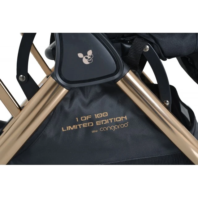 Childrens summer stroller Easy fold Limited Edition