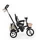 Tricycle Flexy Lux beige