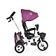 Tricycle Flexy Lux purple