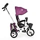 Tricycle Flexy Lux purple